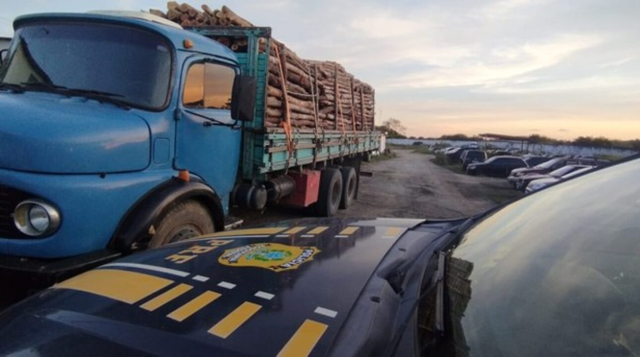 PRF apreende carga irregular de madeira em Garanhuns (PE)