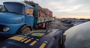 PRF apreende carga irregular de madeira em Garanhuns (PE)