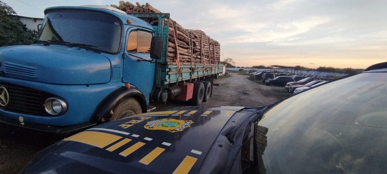 PRF apreende carga irregular de madeira em Garanhuns (PE)