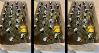 Caminhoneiro é flagrado com 900 kg de garrafas para falsificação de uísque em Campo Grande