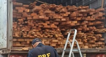 PRF apreende 37 m³ de madeira irregular na BR-316 e reforça combate a crimes ambientais no Piauí