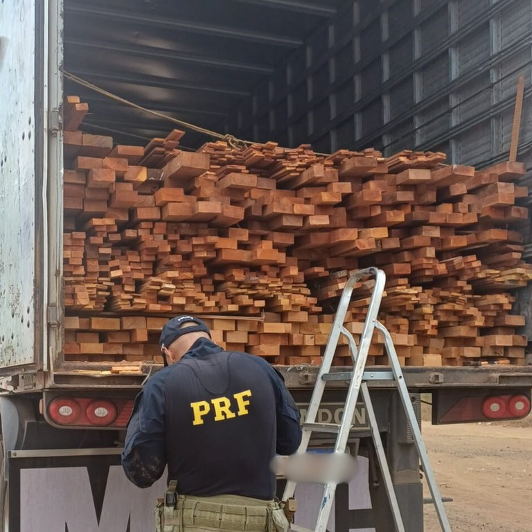 PRF apreende 37 m³ de madeira irregular na BR-316 e reforça combate a crimes ambientais no Piauí