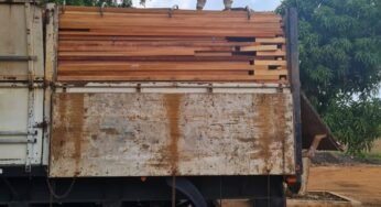 Polícia Rodoviária Federal apreende 162 m³ de madeira ilegal na BR-155 ( PA )