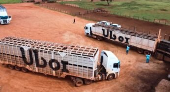 JBS lança APP para o transporte de gado ao vivo