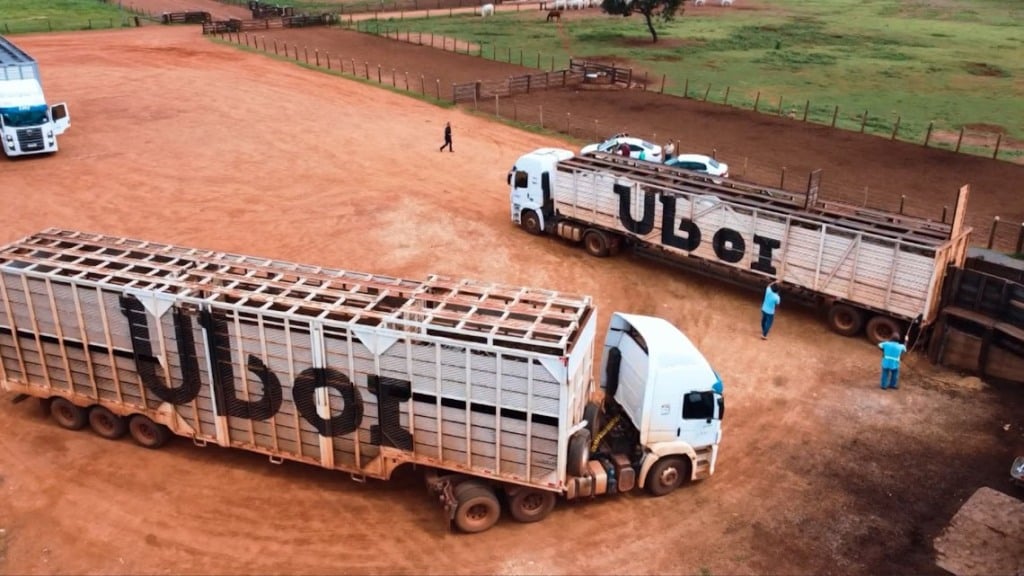 JBS lança APP para o transporte de gado ao vivo