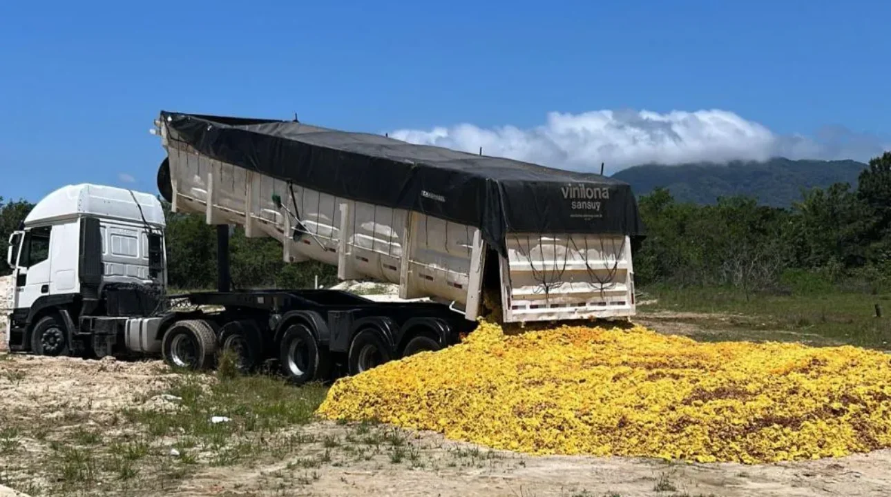 Carga de laranjas apodrecidas é apreendida em Porto Belo