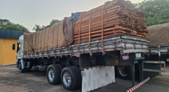 Polícia Rodoviária Federal apreende dois caminhões com 60,5 m³ de madeira irregular na BR-316, em Presidente Médici (MA)