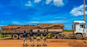 PRF apreende carga de madeira irregular na BR-319 e reforça combate a crimes ambientais no Amazonas