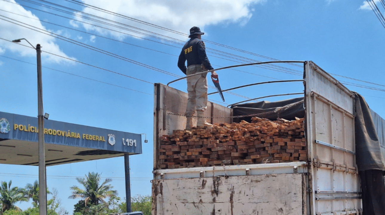 PRF recupera caminhão furtado e apreende mais de 75 m³ de madeira irregular no Maranhão