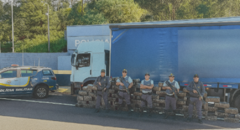 Filho de empresário de transportes é preso transportando 1,5 tonelada de maconha em caminhão