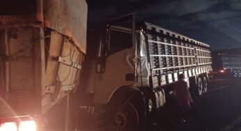 Carreta perde força em subida, volta em “L” e atinge caminhão com gado na BR-163 em Campo Grande