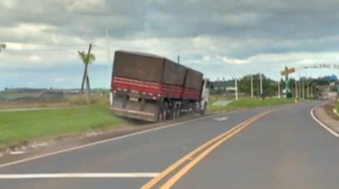 Picada de abelha causa acidente com caminhão no Paraná e alerta para riscos inesperados nas estradas