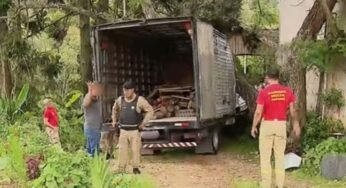 Caminhoneiro pula de caminhão sem freio em descida e escapa por pouco de tragédia na Grande Curitiba