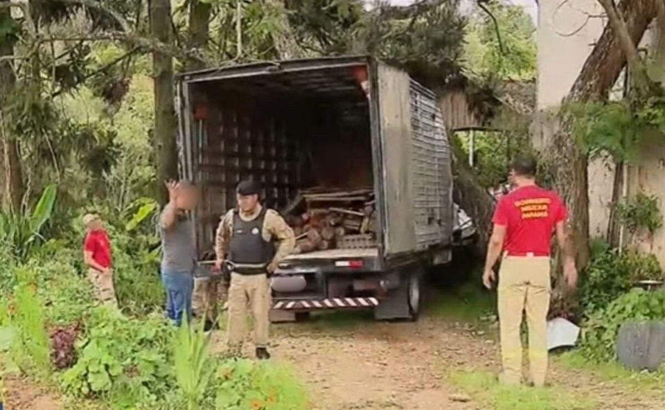 Caminhoneiro pula de caminhão sem freio em descida e escapa por pouco de tragédia na Grande Curitiba