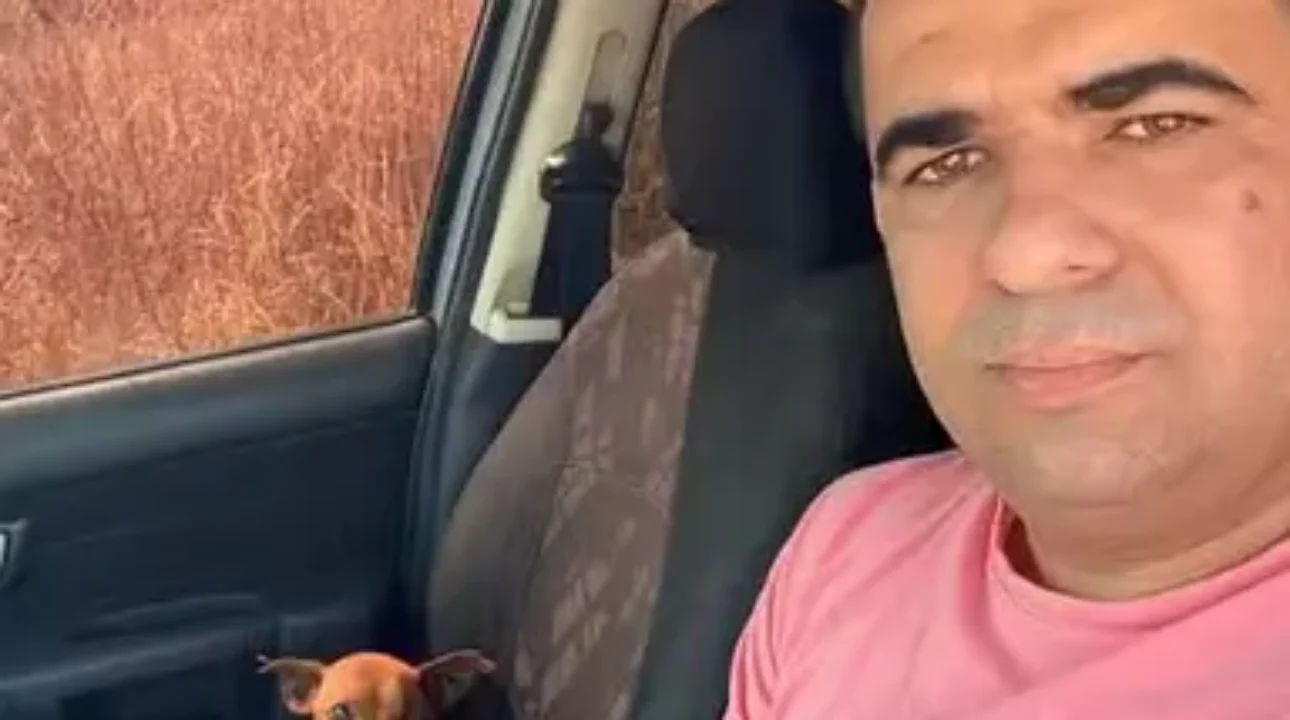 Caminhoneiro resgata cachorro ferido na estrada e ganha um novo parceiro de viagens
