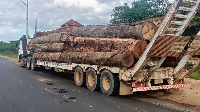 Polícia Rodoviária Federal apreende carga de madeira ilegal em Cruzeiro do Sul e reforça combate ao crime ambiental