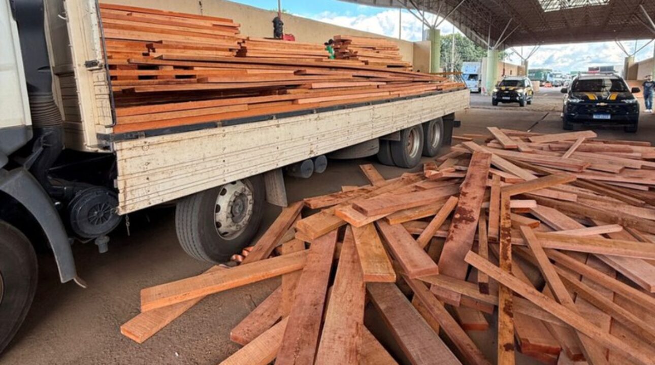 PRF apreende 11 m³ de madeira irregular e responsabiliza três empresas por crime ambiental em Rondônia