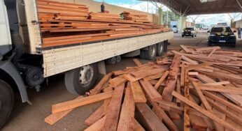 PRF apreende 11 m³ de madeira irregular e responsabiliza três empresas por crime ambiental em Rondônia
