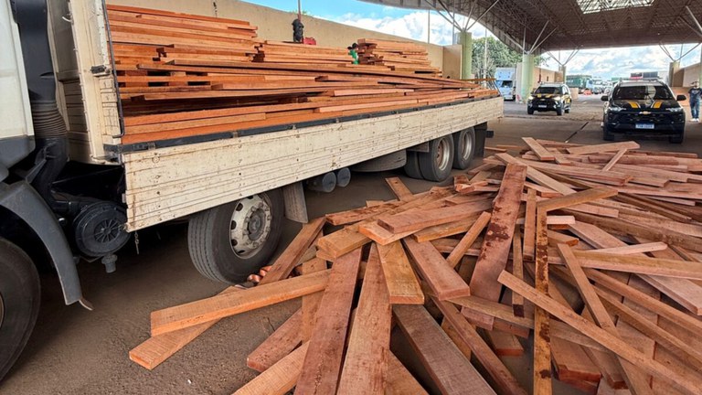 PRF apreende 11 m³ de madeira irregular e responsabiliza três empresas por crime ambiental em Rondônia