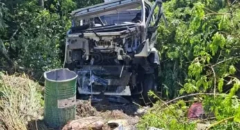 Caminhoneiro morre em acidente e carga é saqueada na SP-281