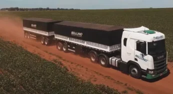 Belluno Transportes abre diversas para caminhoneiro em Rondonópolis
