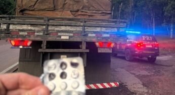 Caminhoneiro com placa dobrada é flagrado com cartela de rebite nas partes intimas.