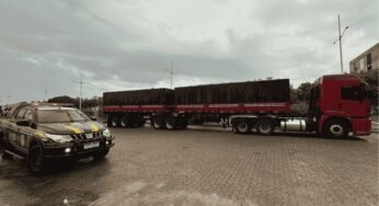 PRF apreende quase 45 m³ de madeira irregular na BR-010 em Palmas e motorista é preso