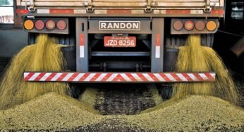 Justiça decide que transportadora é responsável por descuido com mercadoria