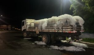 tilapias transportadoras de fomra irregular