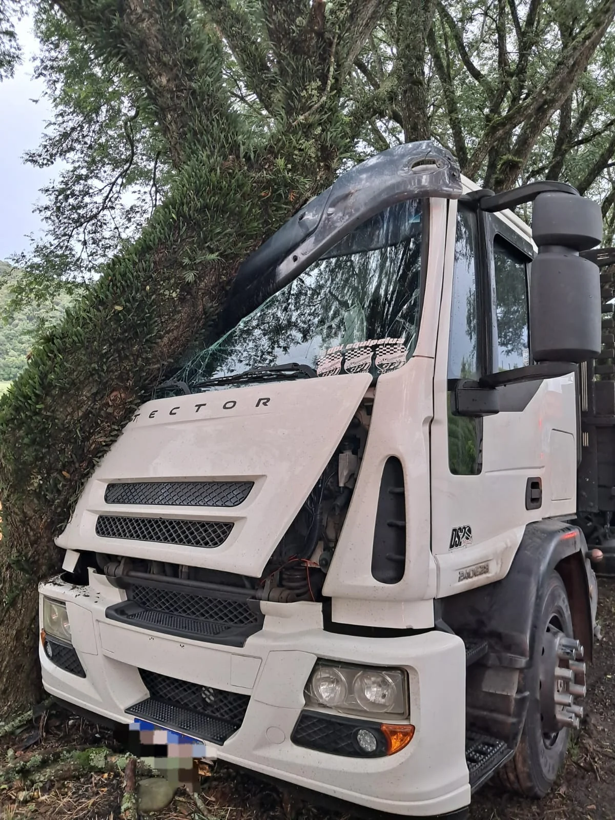 Caminhão batido na arvore