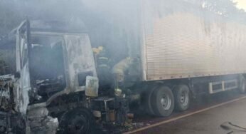 Caminhão carregado de salgadinhos pega fogo na BR-040 na Grande BH