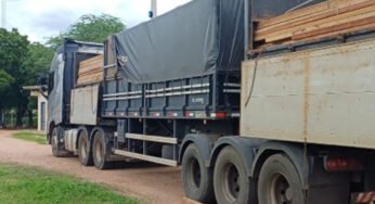 Caminhão é parado na BR-316 e detalhe na rota acaba em apreensão de madeira