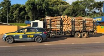 PRF flagra caminhão com 44 toneladas de carga e motorista ainda dirigia com CNH suspensa