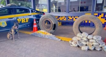 Caminhoneiro é preso na BR-364 com 65 kg de drogas escondidas em estepe