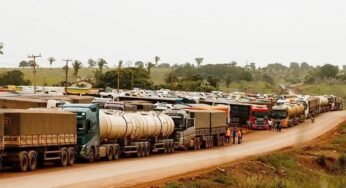 Caminhoneiros enfrentam espera de até 40 horas para descarregar soja