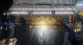 PRF flagra carreta com mais de 100 m³ de madeira sem licença na BR-230