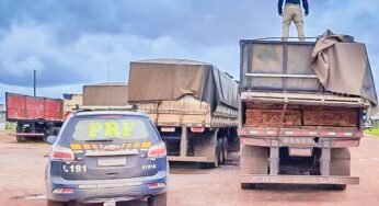 PRF para caminhão e encontra quase 47 m³ de madeira nativa sendo levados de forma ilegal