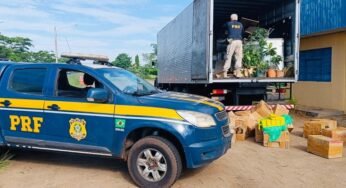 PRF apreende 1,5 tonelada de maconha escondida em caminhão na BR-267 em MS