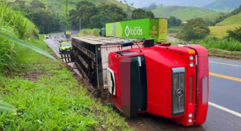 Caminhão com gado tomba na BR-116 e animais ficam espalhados na pista