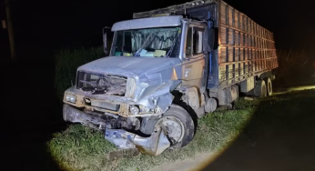 Motorista morre após batida com caminhão na MG-050 em Minas Gerais