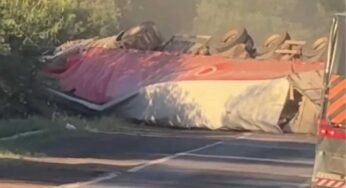 Caminhoneiro sofre acidente, é atacado por abelhas e segue internado no RS