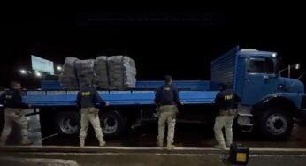 Caminhoneiro é preso com mais de 1 tonelada de droga escondida em carga na BR-277