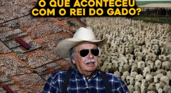 Como está hoje o “rei do gado” brasileiro que tinha 200 mil bois?