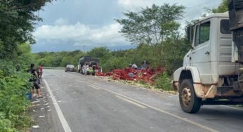 Caminhão carregado de frutas tomba no Piauí e carga é saqueado