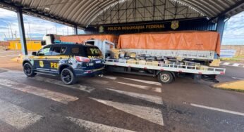 PRF acha quase 4 toneladas de droga escondida em carga de soja na BR-163