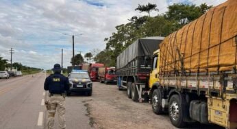 PRF apreende mais de 180 m³ de madeira irregular durante operação na BR-316 no Pará