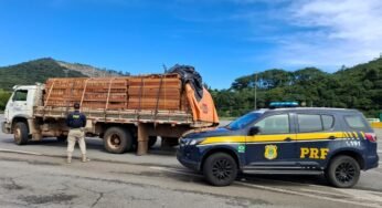 Caminhão com carga de madeira é parado na Fernão Dias após documento vencido