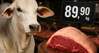 Preço do boi gordo bate recorde e carne fica mais cara nos mercados.