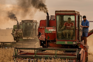 PRODUTOR RURAL