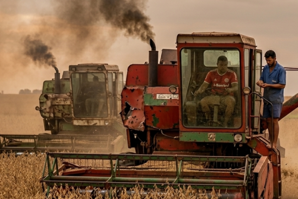 PRODUTOR RURAL